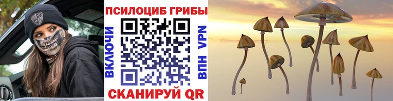 наркота Бугульма Галлюциногенные грибы Magic Shrooms